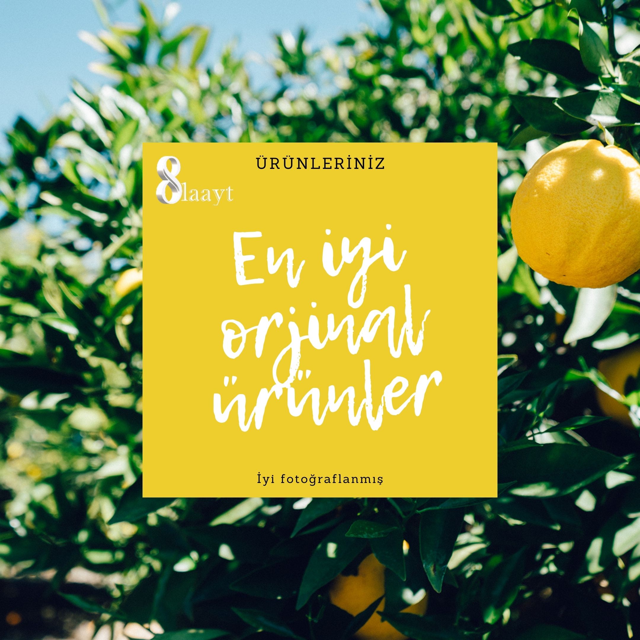 En yeni orijinal urunlar